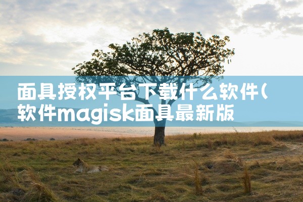 面具授权平台下载什么软件
