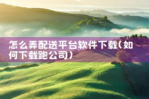 怎么弄配送平台软件下载