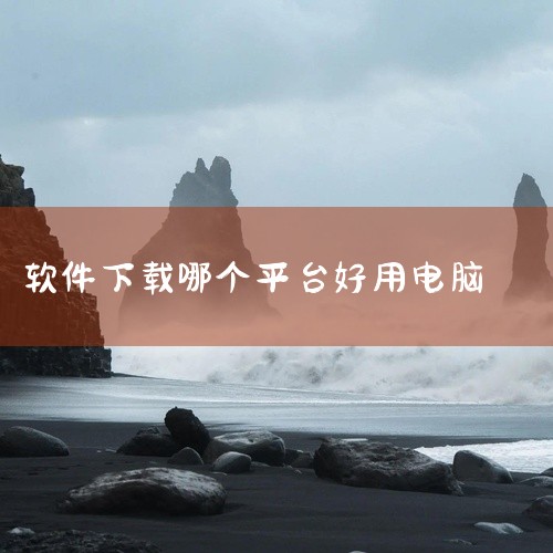 360软件管家：是360安全卫士旗下的软件下载与管理工具，软件管理功能强大。它不仅可以方便地下载和安装软件，还能对已安装软件进行卸载、更新等操作，操作便捷性极高。拥有知名安全防护技术，能对软件进行全面,