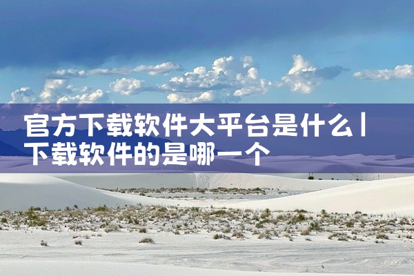 官方下载软件大平台是什么