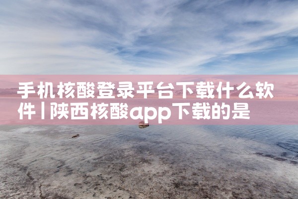 手机核酸登录平台下载什么软件