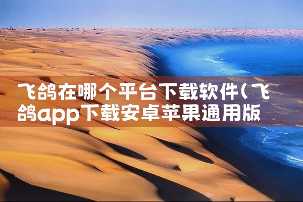 飞鸽在哪个平台下载软件