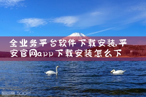 全业务平台软件下载安装